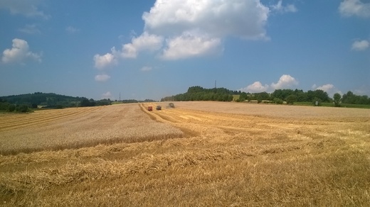 WP_20140718_001.jpg