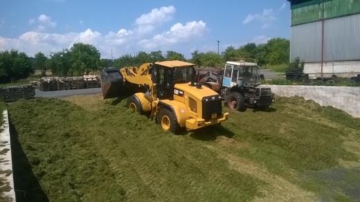 WP_20140725_001.jpg