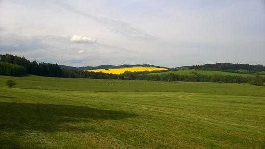 WP_20160519_001.jpg